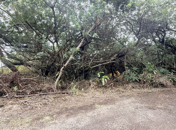 Kealakekua, HI 96750