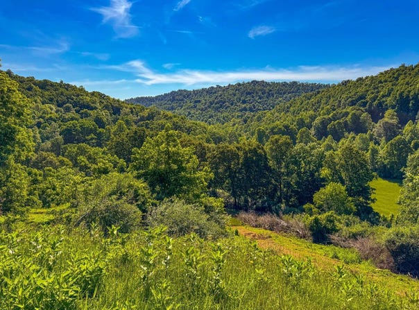 655 Cap Run Rd, Walkersville, WV 26447