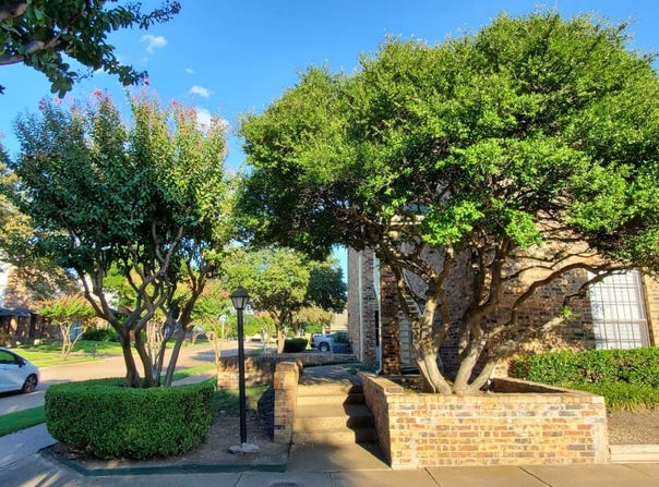 3100 Devonshire Drive, Plano, TX 75075