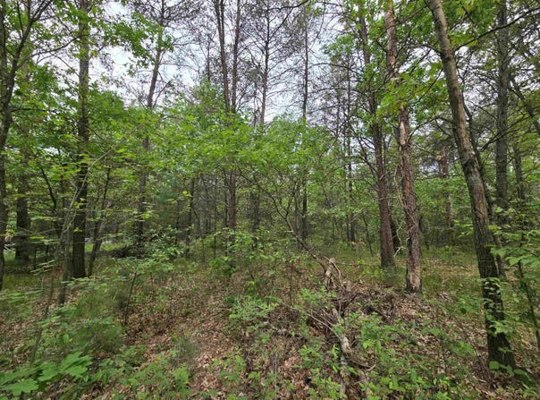 Lot 1 16th Avenue, Necedah, WI 54646