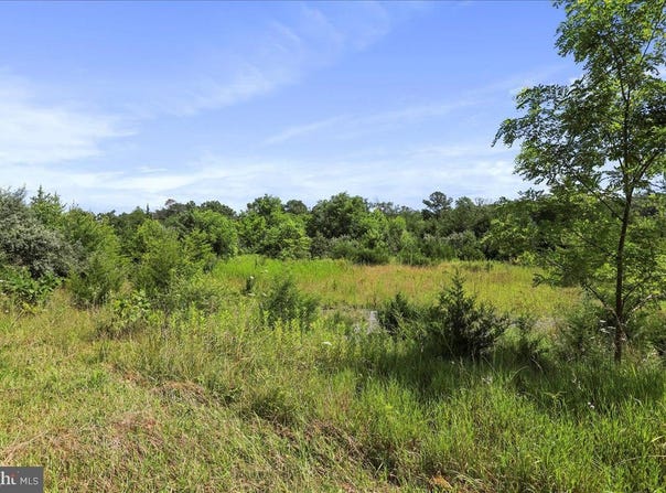 0 MESSICK ROAD, STRASBURG, VA 22657
