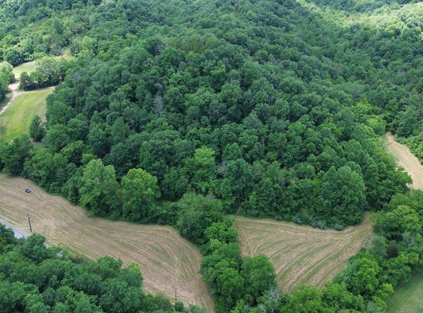01 Gray Gap Road, Burkesville, KY 42717
