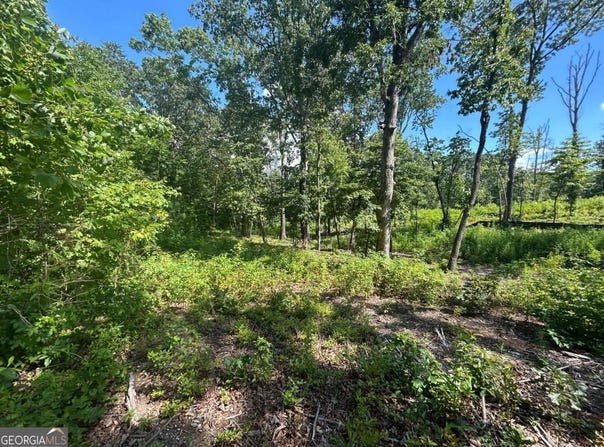 908 Sardis Road, Canton, GA 30114