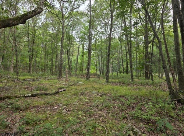 75 Far View Rd, Hope Twp., NJ 07838-2701