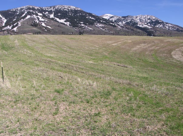 000 Eagle Point, Inkom, ID 83245