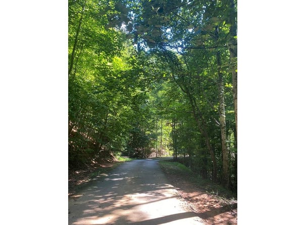 AJ's Holler, Blairsville, GA 30512