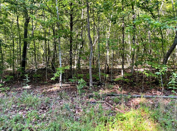 Lot 4 Keylon Hollow Road, Ten Mile, TN 37880