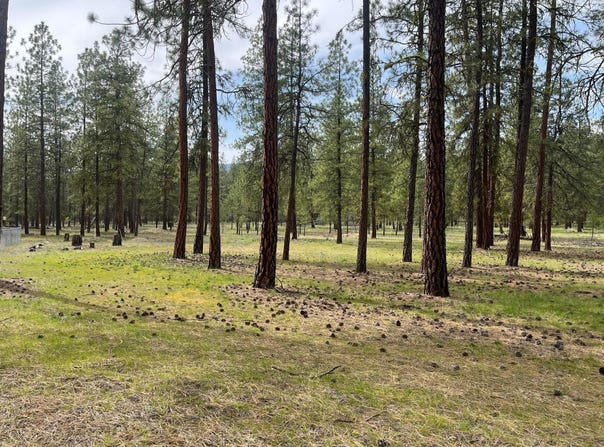 TBD LOT 1 DENTON DR, KETTLE FALLS, WA 99141