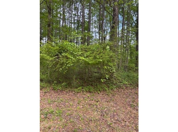 LOT 3 LOTTA RIVER, Sipsey, AL 35584