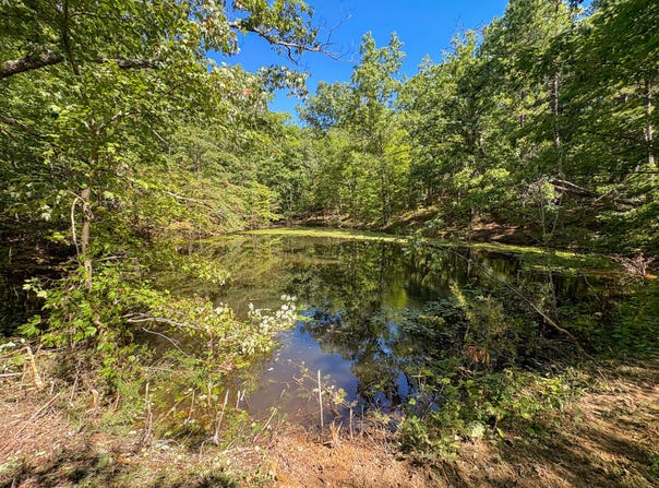 TBD County Road 1050, Willow Springs, MO 65793