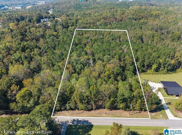SPRINGVILLE BOULEVARD lot: 0, ONEONTA, AL 35121