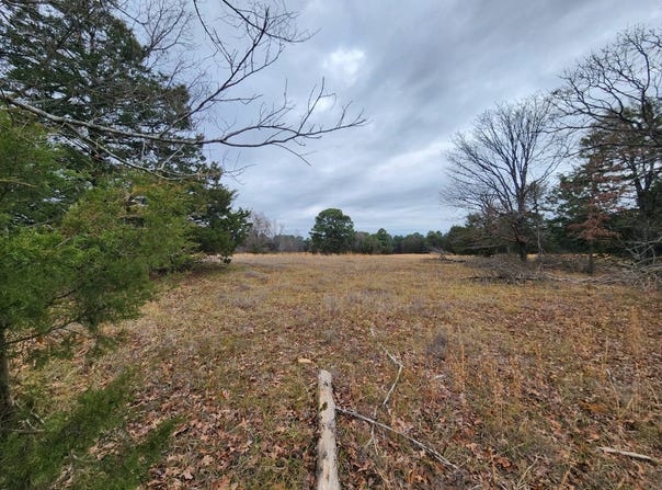 TBD Case Rd, Charleston, AR 72933