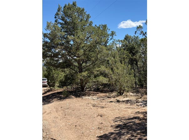 174 Hidden Valley Ranch Road, San Ysidro, NM 87538