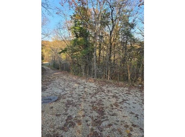 1 Fox Lane, Branson, MO 65740