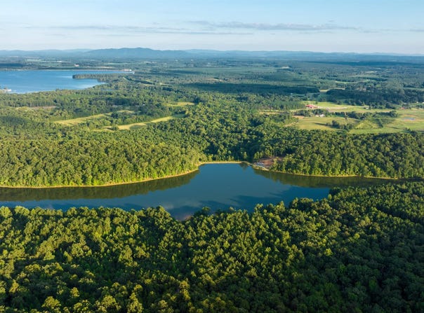 1,157 Ac County Road 505, Leesburg, AL 35983