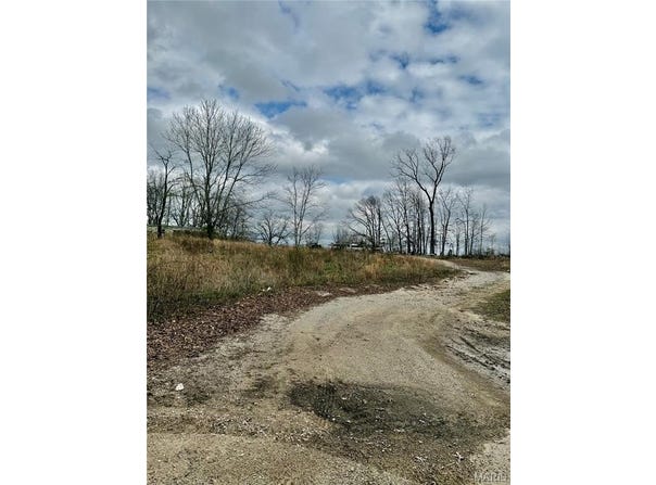 1365 County Road 3500, Mountain View, MO 65548