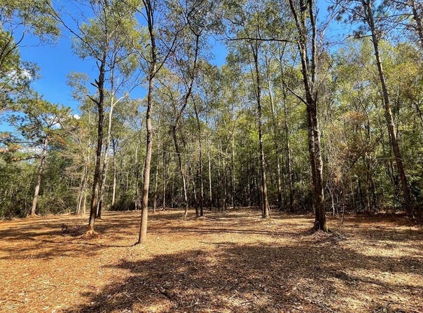 Old Hwy 49, Saucier, MS 39574
