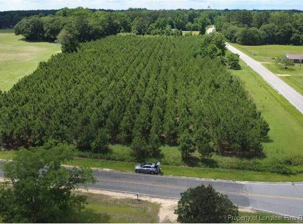 NC HWY. 904, Fairmont, NC 28340