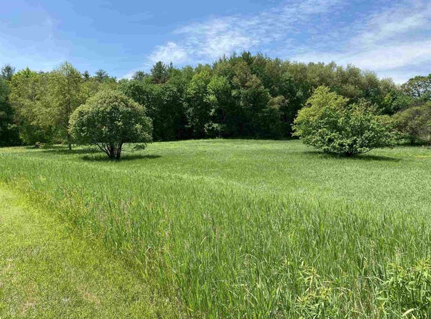 Fox Lane lot: 3, Dorset, VT 05251