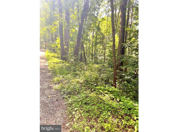 WALNUT TREE CT. ROAD, FRONT ROYAL, VA 22630