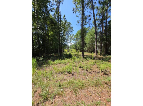 44 Pine Shores Drive, Southport, NC 28461
