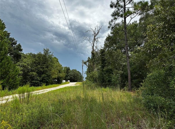 NE 155TH Court, WILLISTON, FL 32696