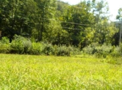 DB 549,664 Pg. 352,102 Ivy Creek lot: 13,14, Ivel, KY 41642
