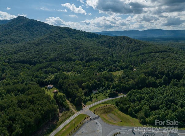 823 Silver Creek Road, Mill Spring, NC 28756
