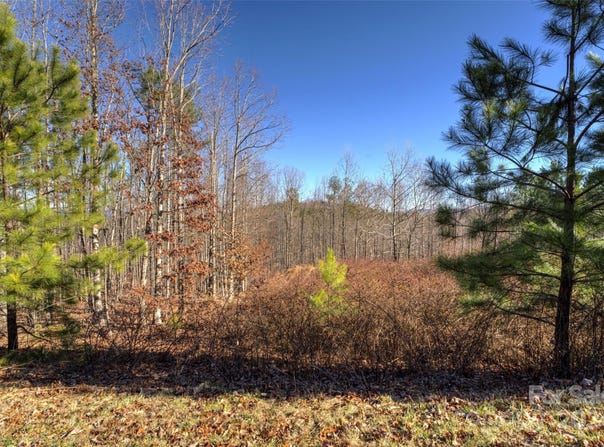 394 Lakeview Trail 430, Nebo, NC 28761