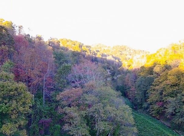 305 Moores Branch Road, Booneville, KY 41314