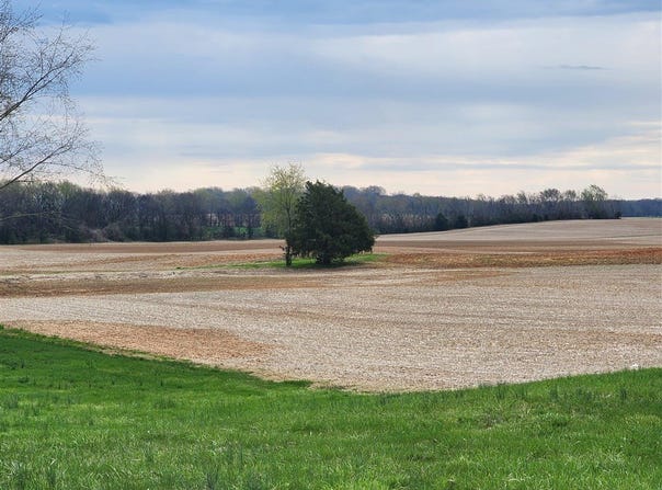 0 Neosheo Prices Mill Road, Franklin, KY 42134