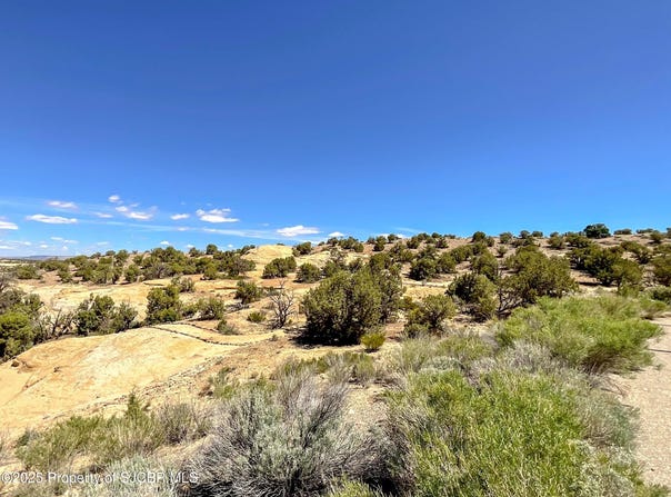 1520 VISTA HERMOSA Trail, Farmington, NM 87401