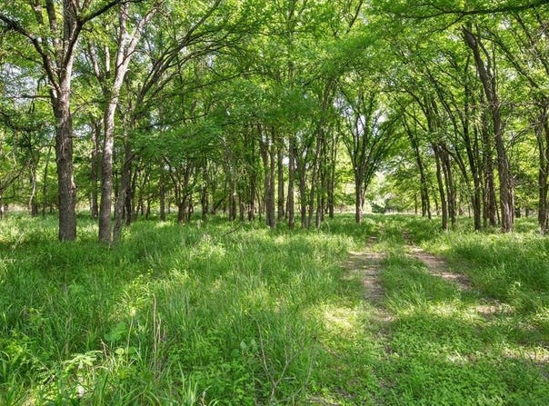 345 County Road 2545, Meridian, TX 76665