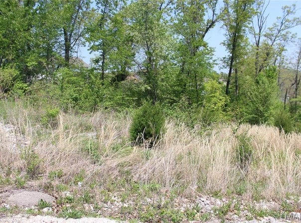 0 Trace Drive, St Robert, MO 65584