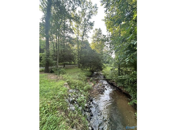 3.9 Acres County Road 212, Collinsville, AL 35961