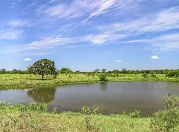 TBD FM 2237, Flatonia, TX 78941