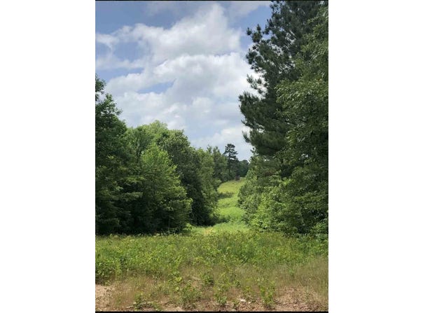 Aster Road, Gilmer, TX 75644