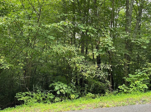 Bear Trail lot: 7, Hiawassee, GA 30546