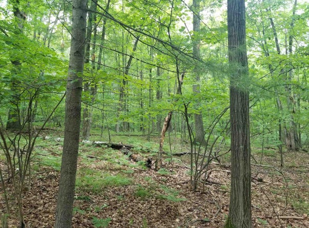 Maple lot: 213, Farwell, MI 48622