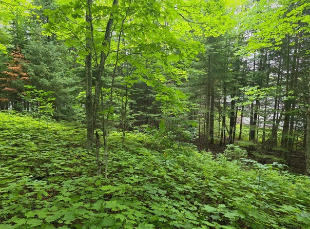 2468 BOAT LANDING RD, Paulding, MI 49912