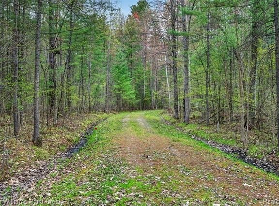 v/l E Pinecrest Drive, Gladwin, MI 48624
