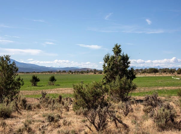 Tbd Track 13 Bostwick Park Road, Montrose, CO 81401