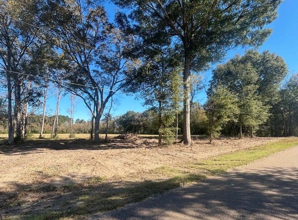 13052 Capace Rd, Independence, LA 70443