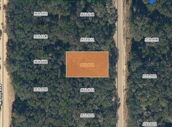 ANNETTE AVENUE, INTERLACHEN, FL 32148