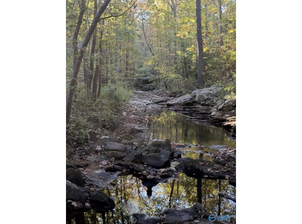 Lot Bear Creek Circle, Oneonta, AL 35121