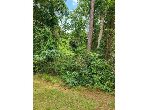 Lot 70 Lakeside Drive, Carriere, MS 39426