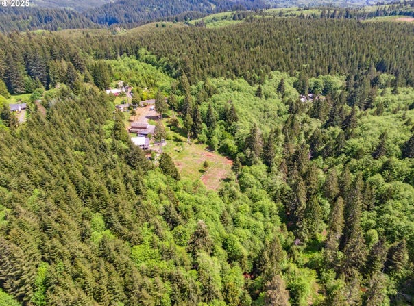 1407 SLIDE CREEK RD, Longview, WA 98632