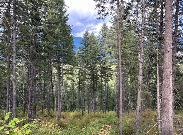 NHN MT Hwy 200, Trout Creek, MT 59874