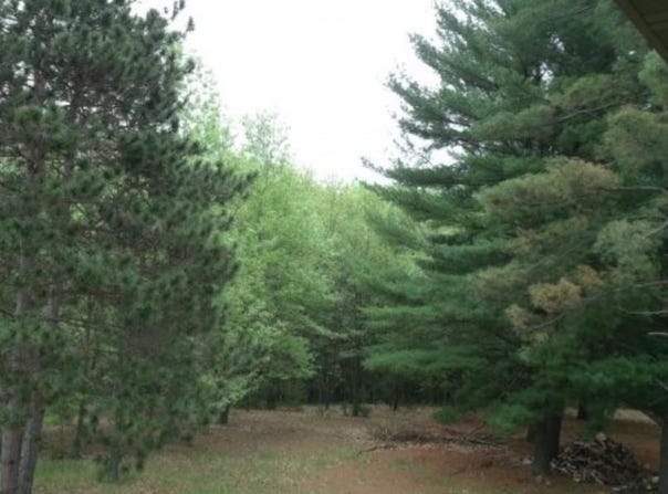 N2833 ONA PINES Road, WEYAUWEGA, WI 54883