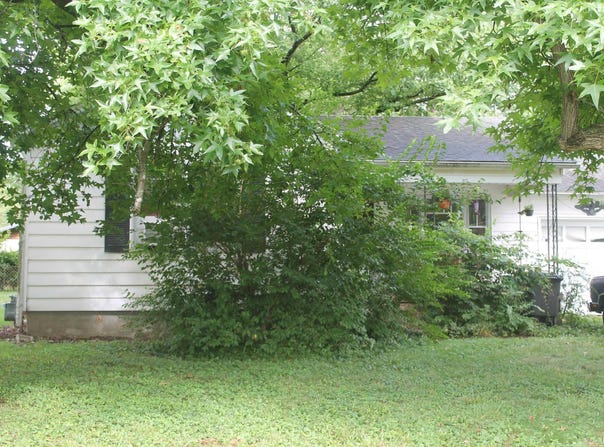 813 N JAMES Street, Carbondale, IL 62901